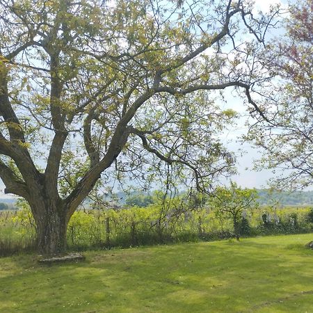 Damechouette Bed & Breakfast Pujols  Bagian luar foto