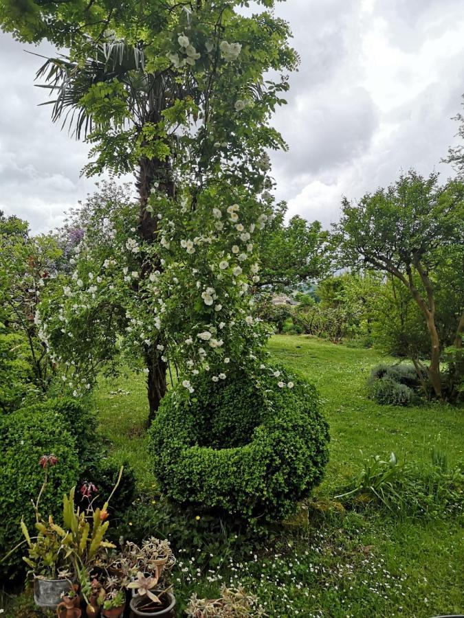 Damechouette Bed & Breakfast Pujols  Bagian luar foto