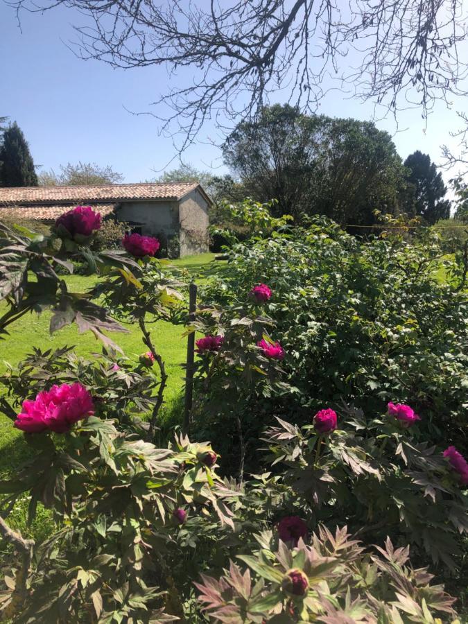 Damechouette Bed & Breakfast Pujols  Bagian luar foto