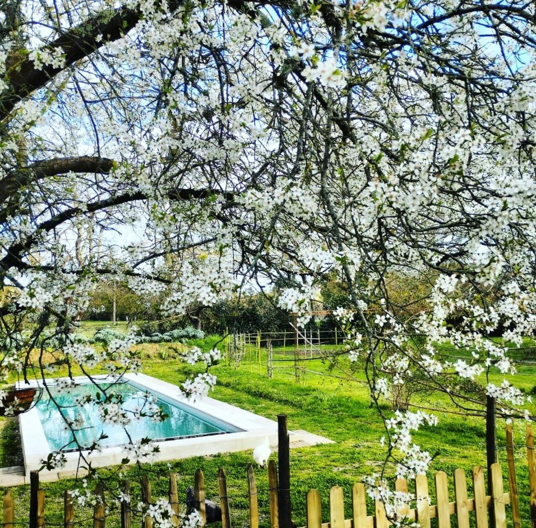 Damechouette Bed & Breakfast Pujols  Bagian luar foto