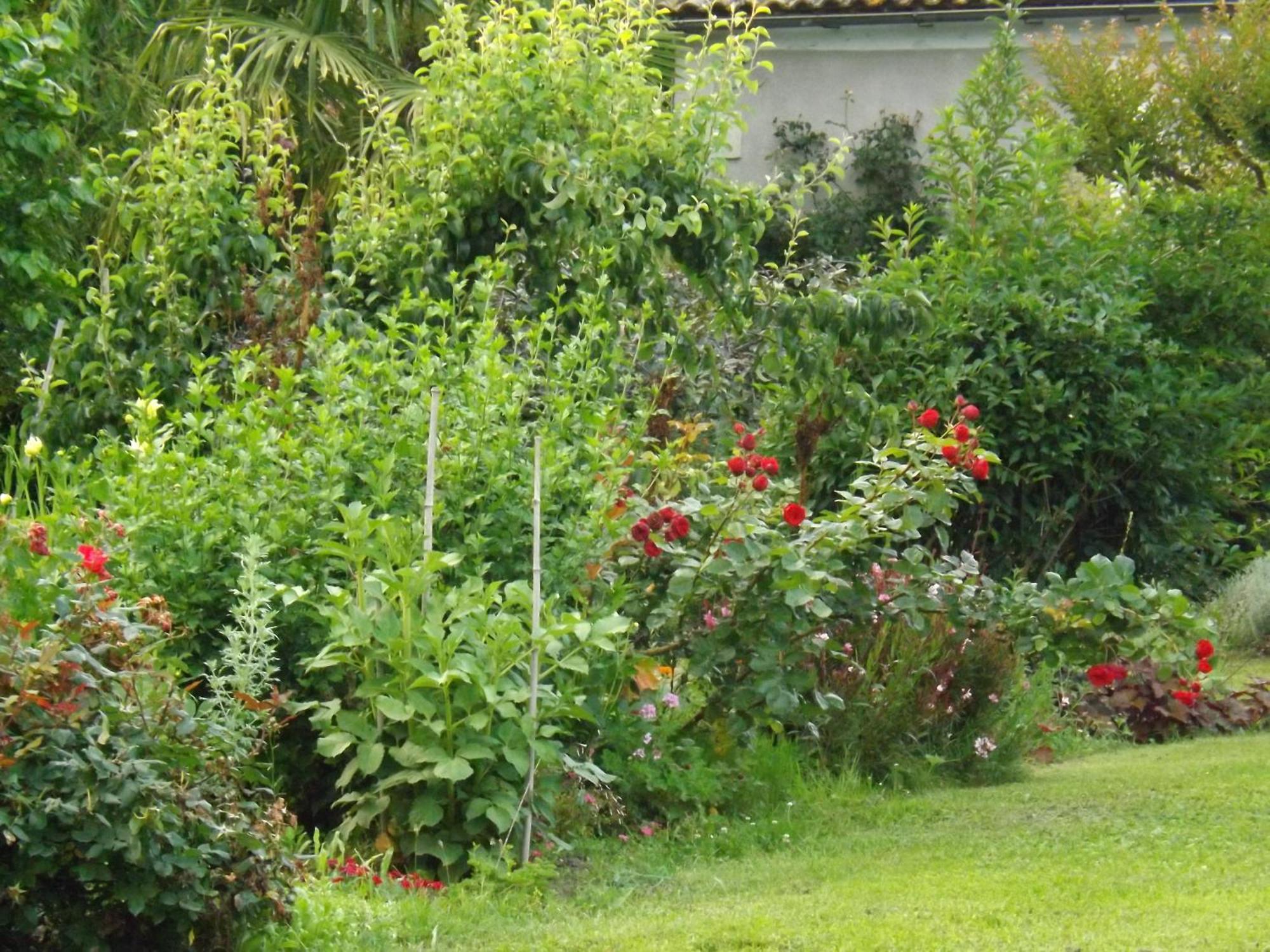 Damechouette Bed & Breakfast Pujols  Bagian luar foto